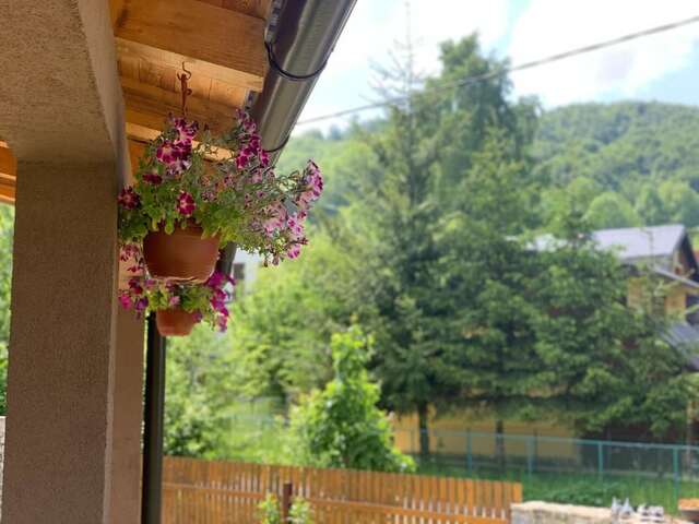 Дома для отпуска Holiday Home Bajka Колашин-34